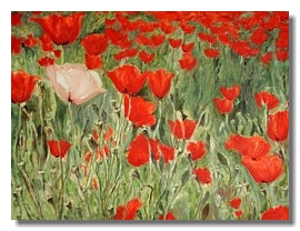 Flower oil painting, Red poppies, Liron Sissman, Individualism, metaphorical nature