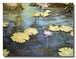 Water Lilies oil painting, art for healthcare, art for medical centers, art for healing, Liron Sissm